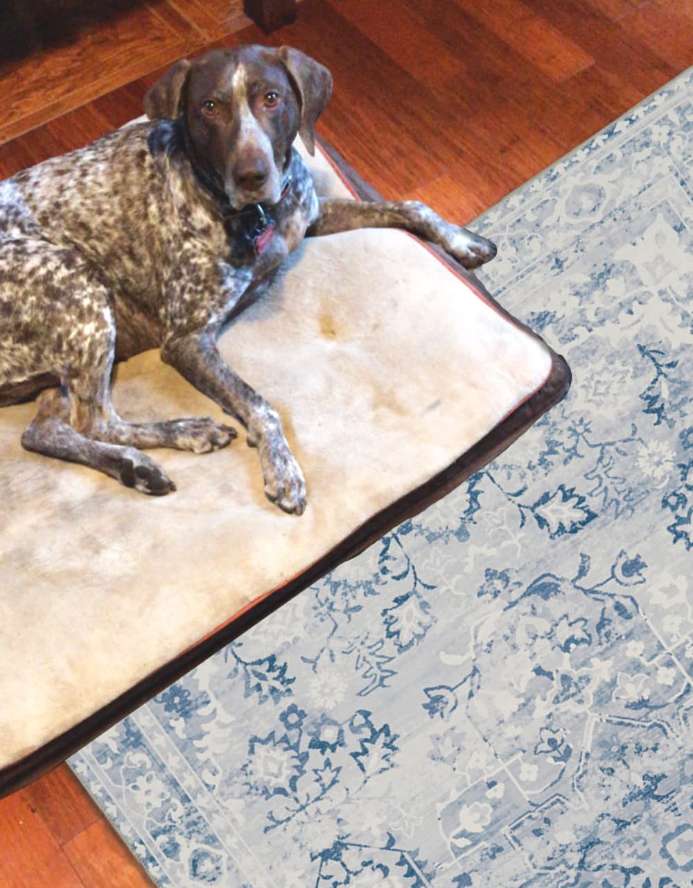 Linon Home Decor Washable Area Rug 5' x 7' - Grey & Ivory Klinch Pattern, Soft & Durable for Living Room, Bedroom, Office | Easy to Clean Indoor Floor Mat
