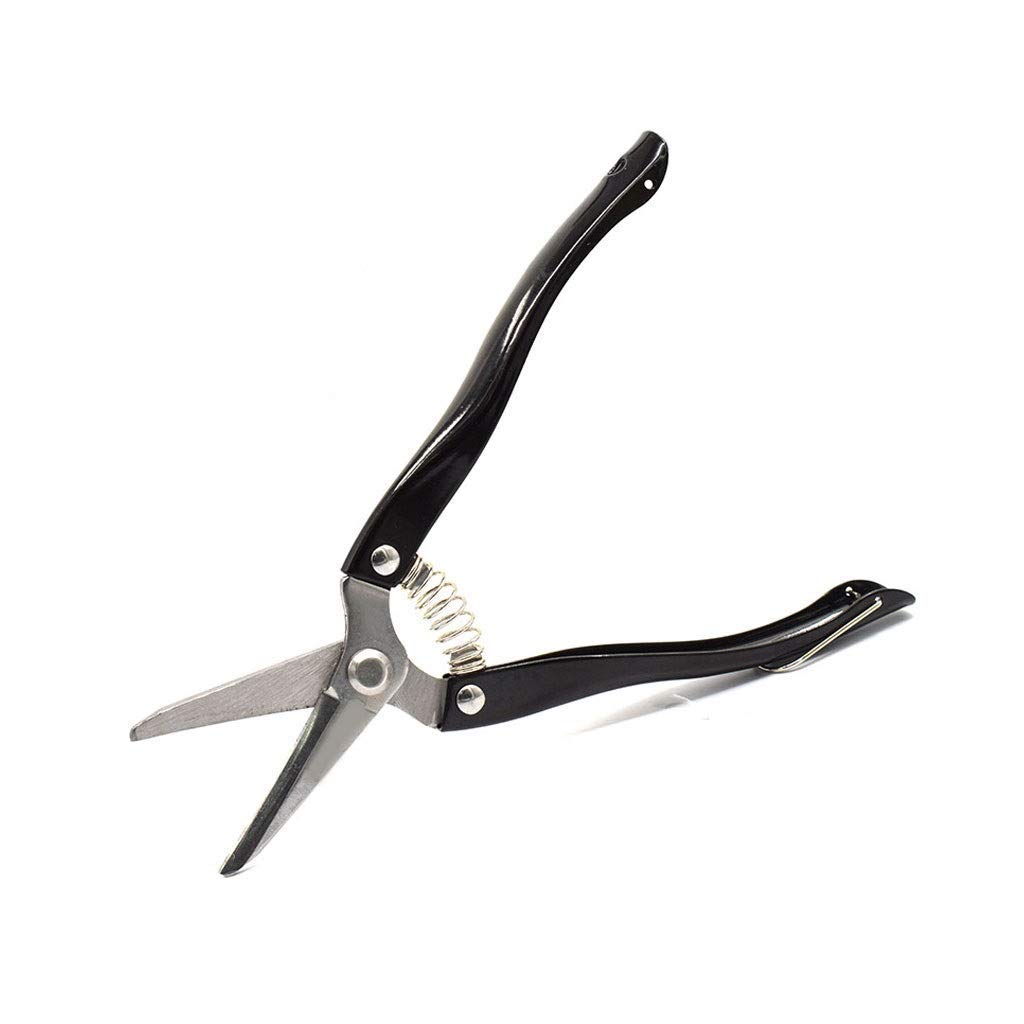 Professional Garden Pruning Shears - Straight Bypass Pruner for Grapes, Flowers & Plants | Manual Labor-Saving Gardening Tool | Multi-Function Black Shears for Trimming, Harvesting & Landscaping | Perfect for Home Gardeners, Vineyard Workers & Horticulture Enthusiasts