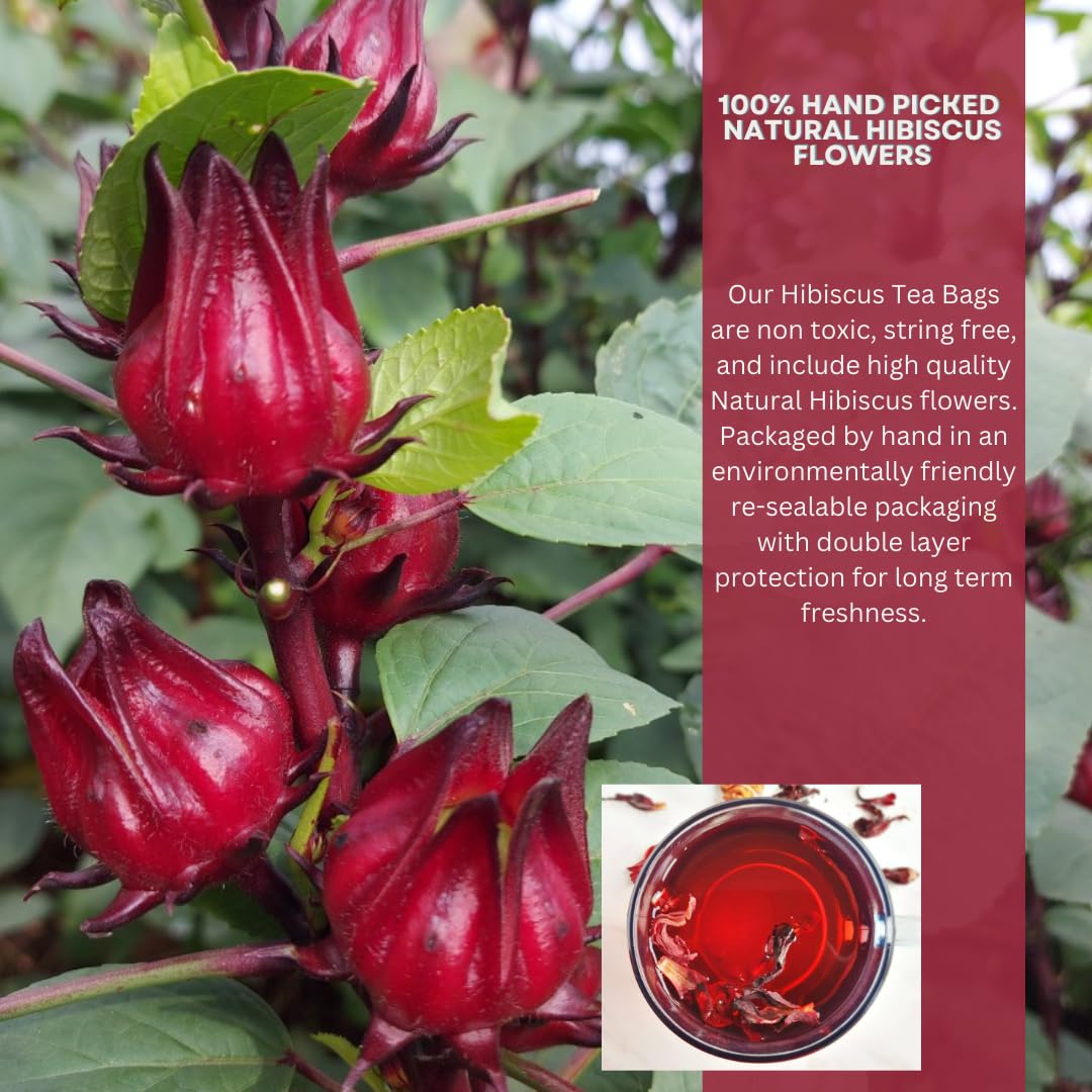 Organic Hibiscus Tea Bags - 100 Count | Non-GMO, Caffeine-Free Herbal Tea | Eco-Friendly & Biodegradable Tea Bags | Perfect for Iced Tea, Detox & Relaxation