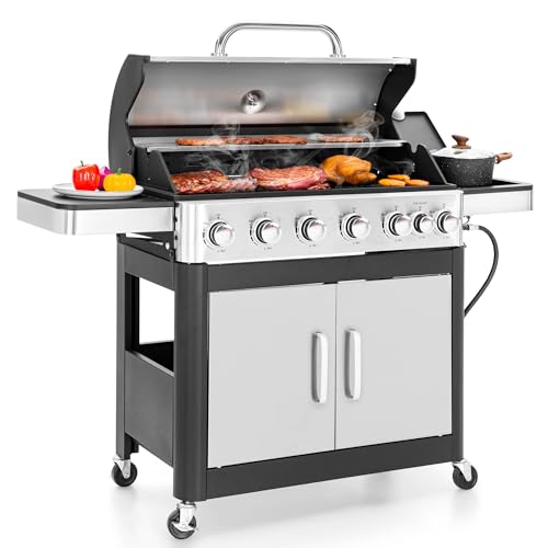6 Burner, Sliver