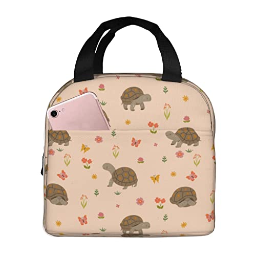 Cute Land Turtles