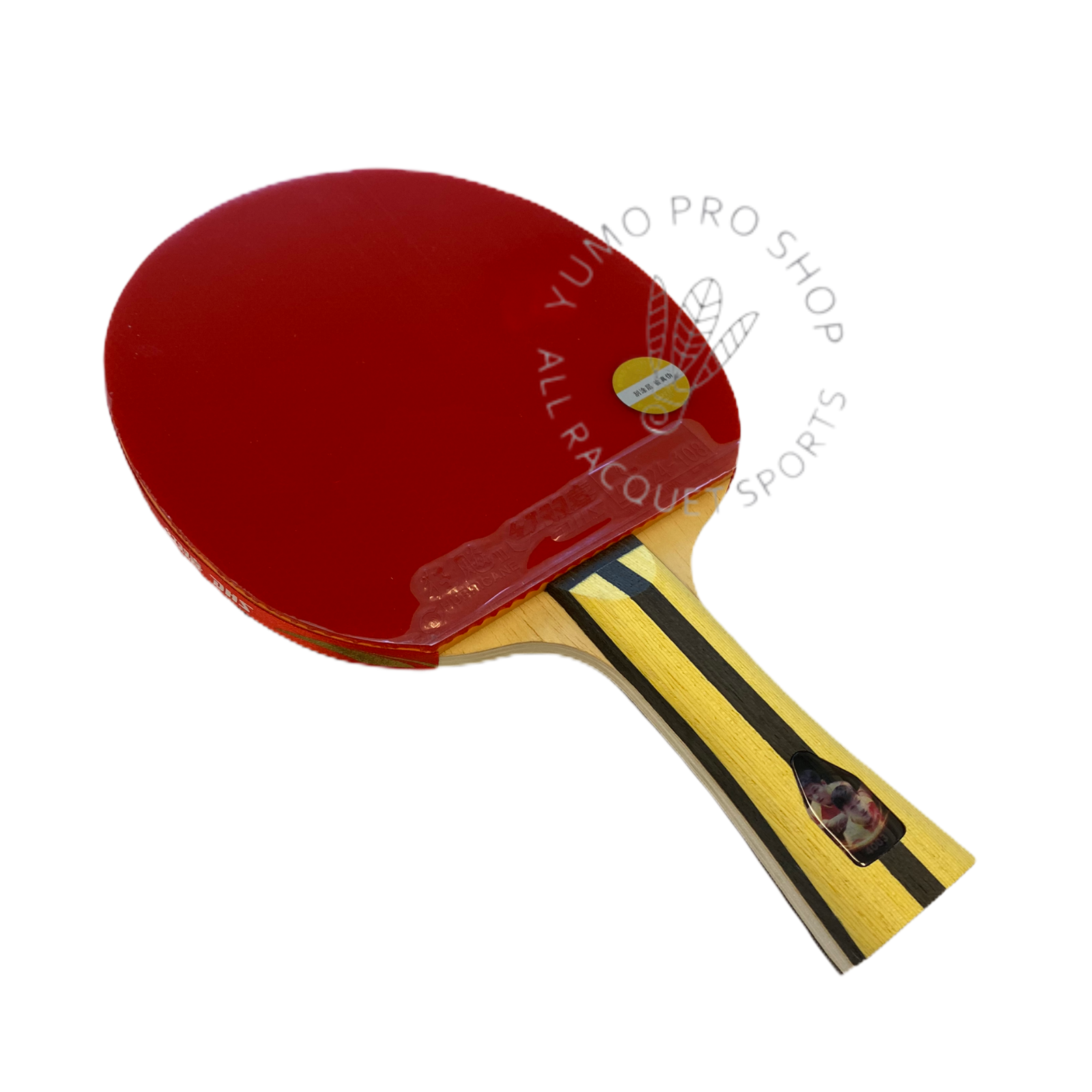 DHS T4003 Table Tennis Racket with Long Pips Rubber - Professional Shakehand FL Handle for Spin & Control - Perfect for Tournament Play & Training