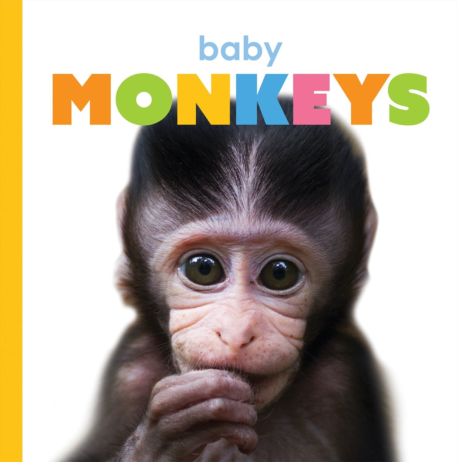 Adorable Baby Monkeys Book - ISBN 9781640260771 - Perfect for Kids' Bedtime Stories & Early Learning