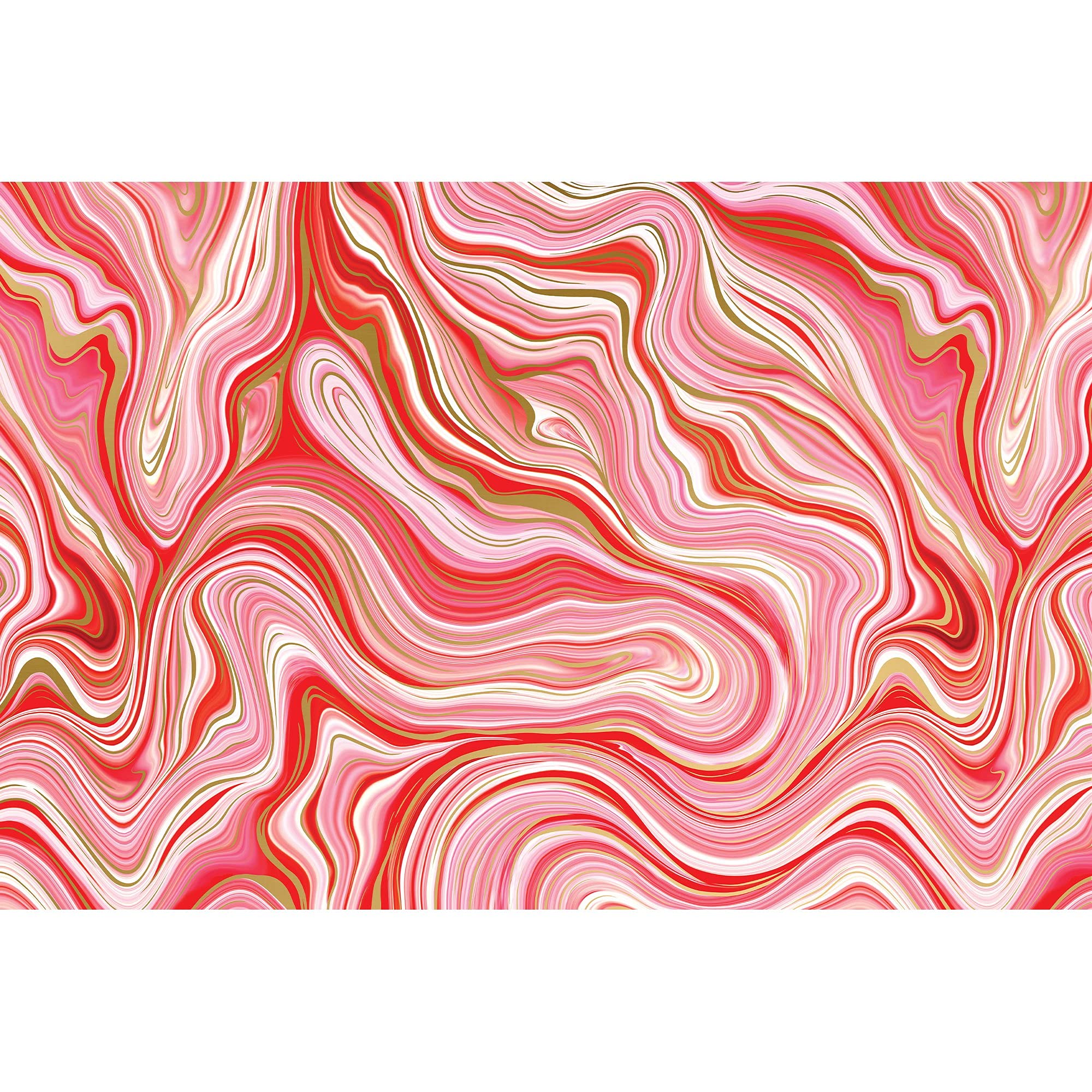 Jillson Roberts Printed Christmas Gift Wrapping Tissue Paper - 20