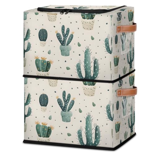 Cactus Plants