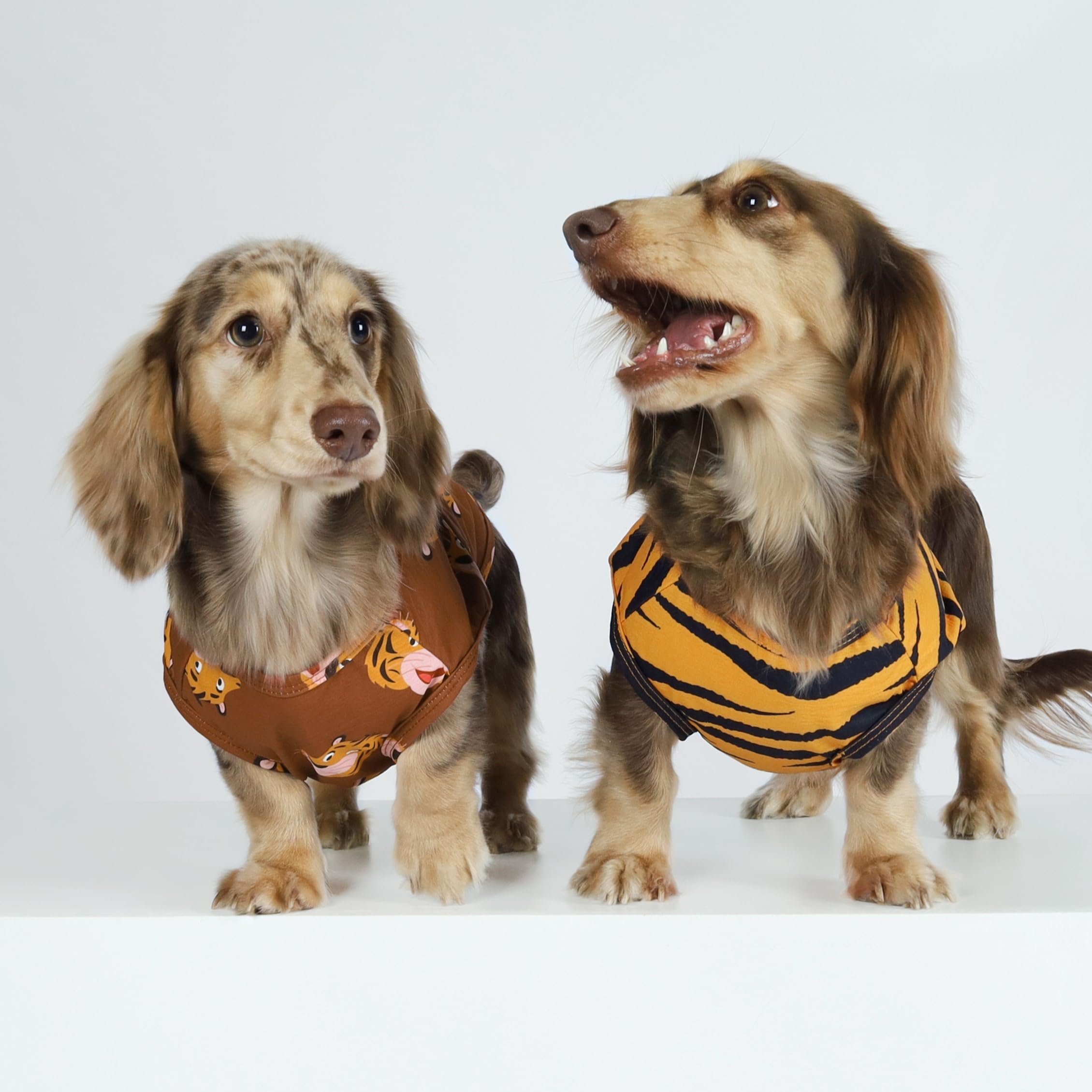 Fitwarm 4 Pack Tiger Print Dog T-Shirts - Summer Pet Clothes for Small Dogs (Yellow, Brown, Black, Green) - Cute & Funny Pet Costume for Puppies - Perfect for Parties, Photo Shoots & Daily Walks