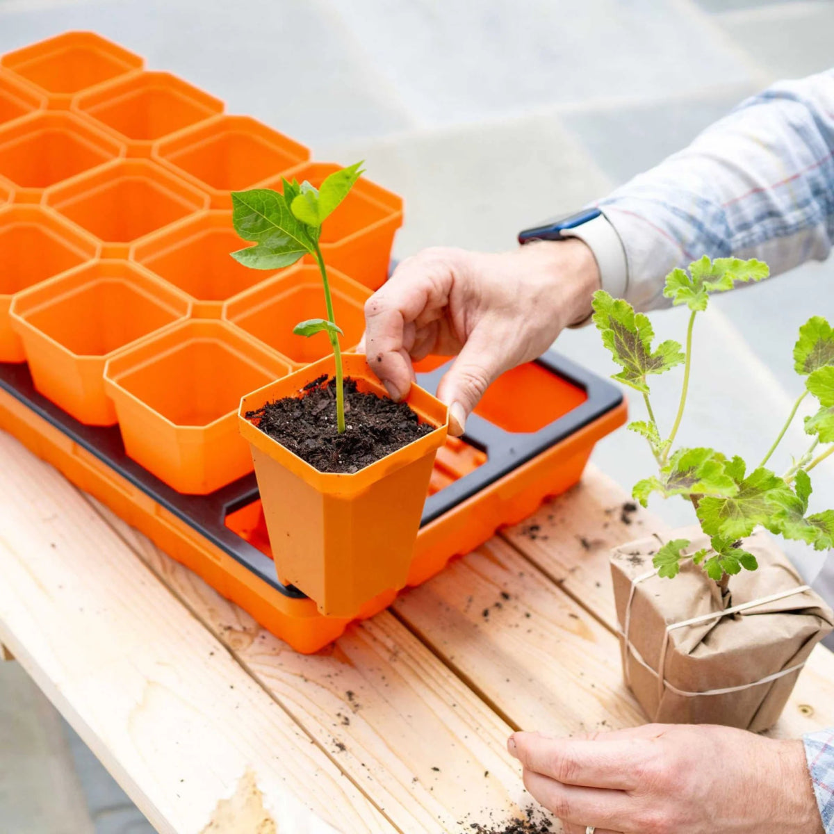Bootstrap Farmer 18 Pot Insert Tray for 3.3 Inch Pots - Durable Seedling Starter Tray for Indoor Gardening & Greenhouse Planting