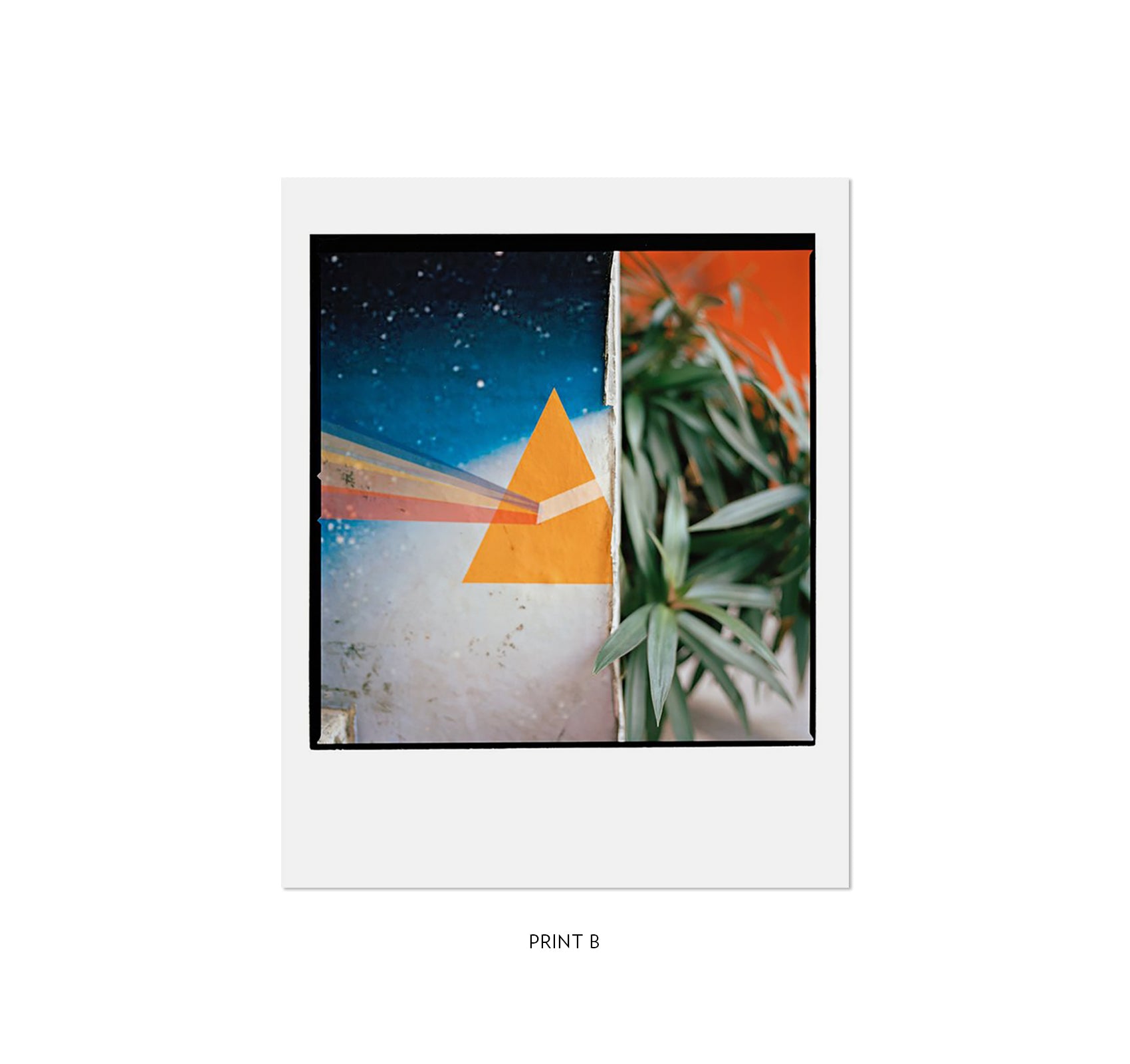 Jason Fulford's Picture Summer on Kodak Film - Special Edition Photography Book | Perfect for Film Enthusiasts & Summer Memories