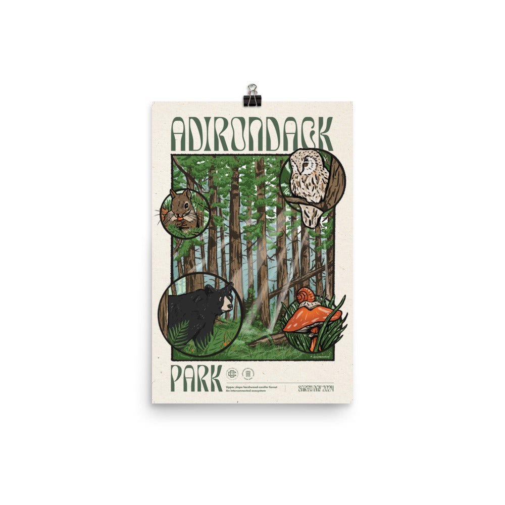 Adirondack Ecosystem Poster - 1st Edition | High-Quality Wall Art for Home, Office & Classroom Decor