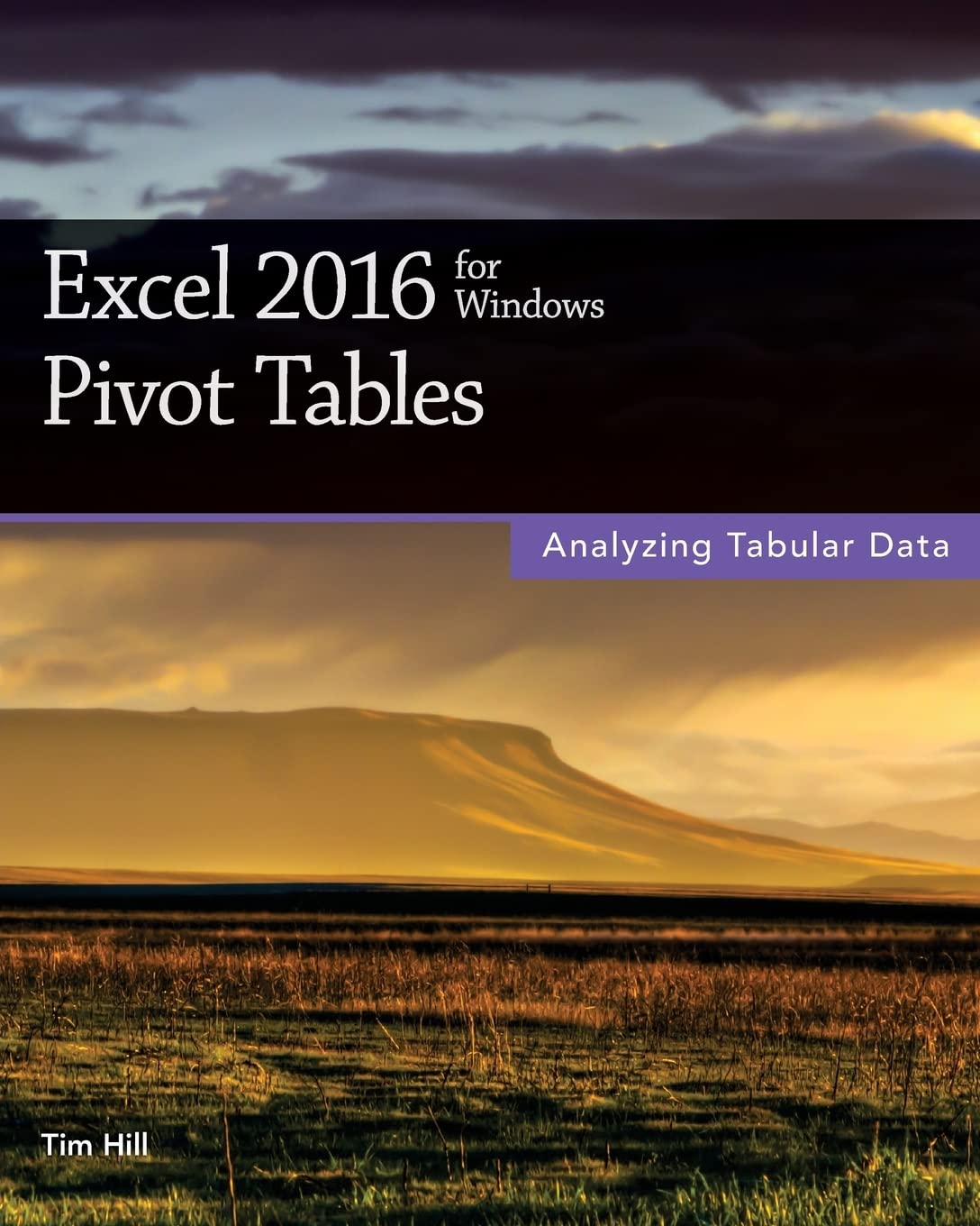 Excel 2016 for Windows: Master Pivot Tables for Data Analysis | Spreadsheet Tools for Business & Financial Reporting