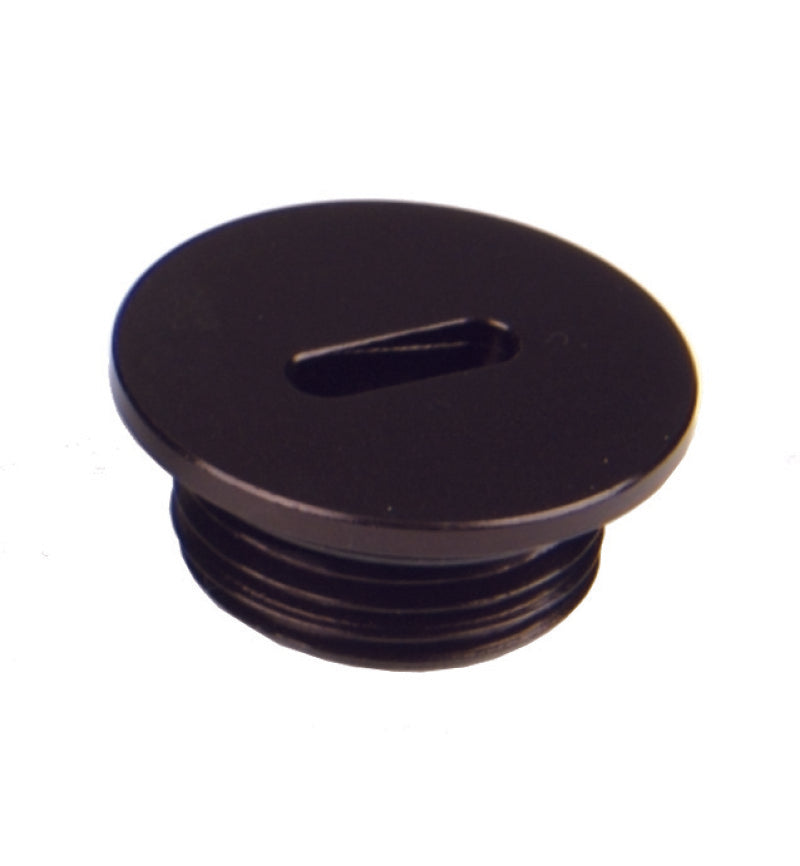 Aeromotive AN 08 O-Ring Boss Slim Line Port Plug - High Performance Fuel System Fitting for Automotive & Racing Applications