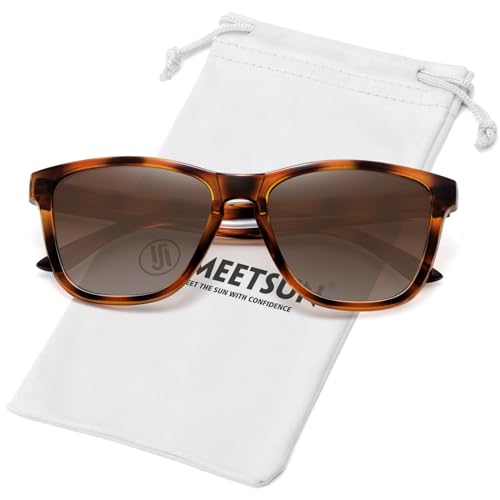 Brown Tortoise Frame / Brown Gradient