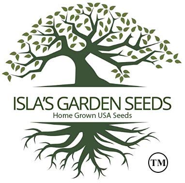 Sweet Incredible Yellow Corn Heirloom Seeds - 75 Non-GMO Seeds with 90% Germination Rate for Home Garden Planting | Perfect for Fresh Eating, Canning & Farm-to-Table Recipes by Isla's Garden Seeds