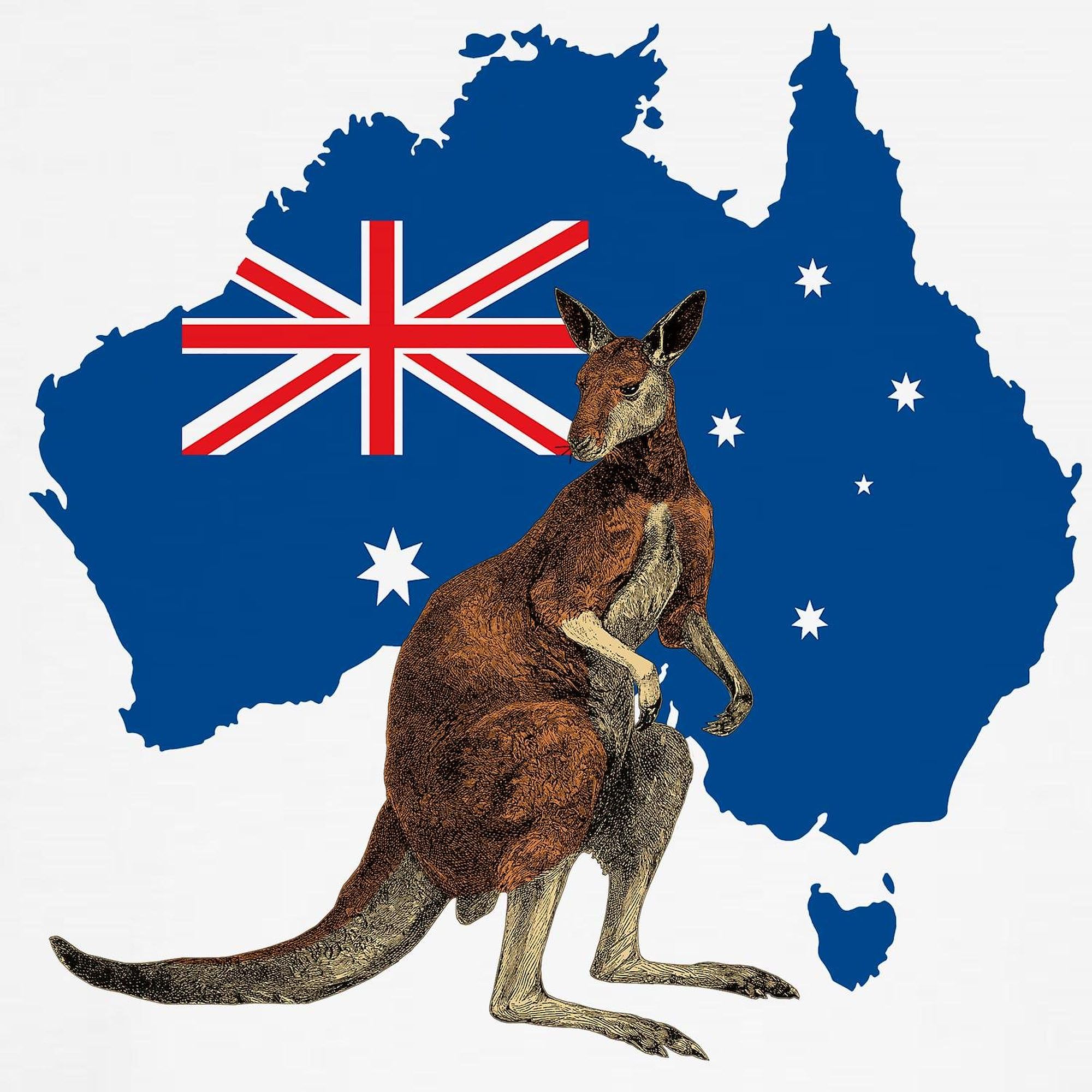 Australia Dog T-Shirt - Funny Pet Clothing & Costume for Dogs | Perfect for Pet Parties, Halloween & Daily Wear
