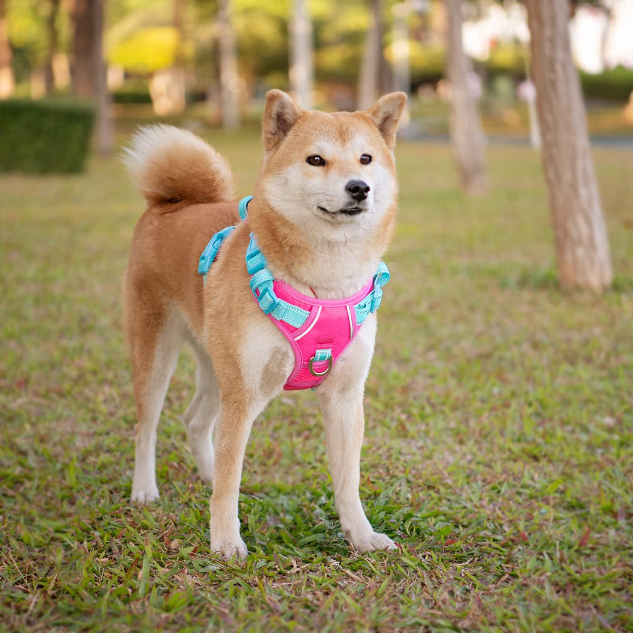PHOEPET No Pull Dog Harness - Reflective Adjustable Pet Vest with Soft Training Handle & Metal Clips for Small Medium Large Dogs (Pink/Green, XS) | Perfect for Walking, Training & Nighttime Safety