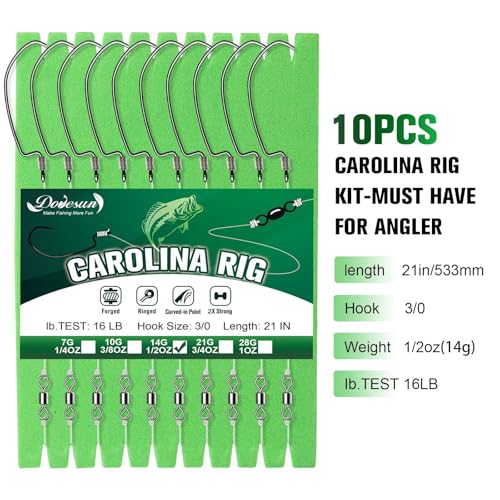 10PCS