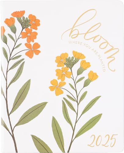 Bloom