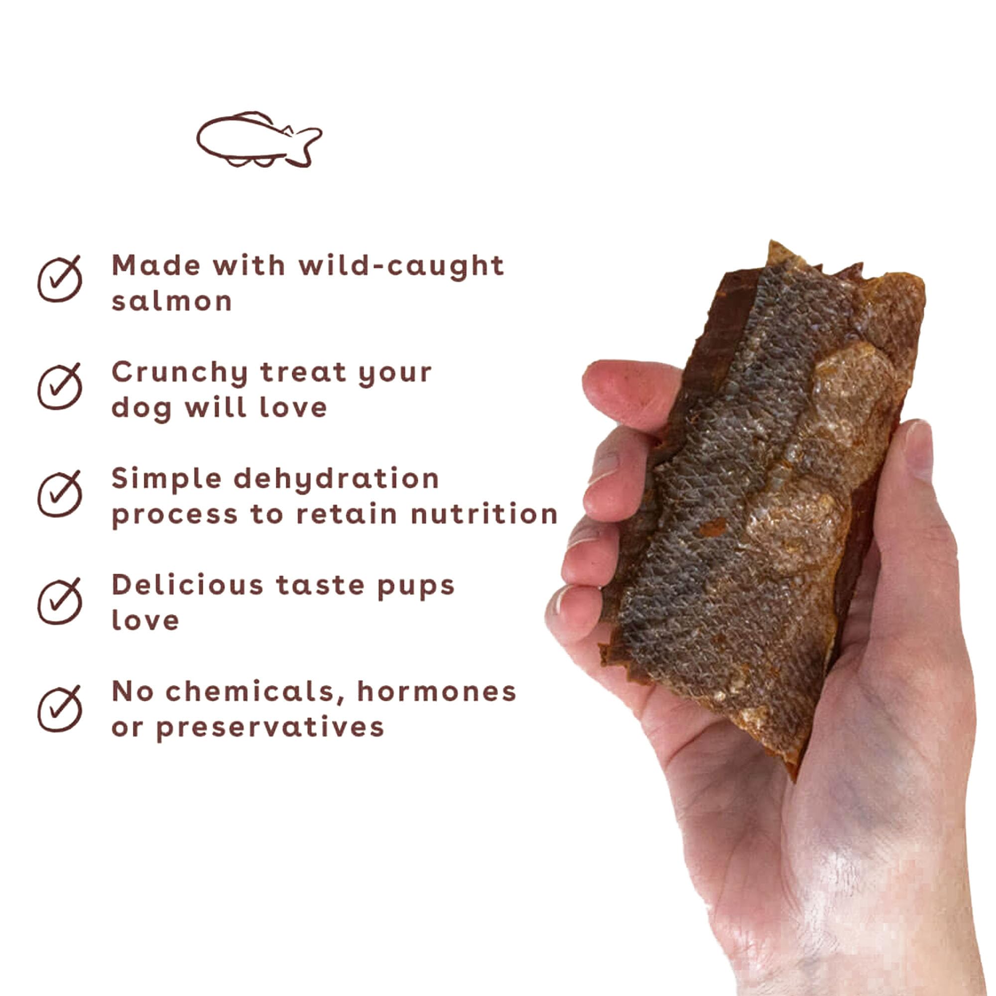 Premium Salmon Jerky Dog Treats for All Breeds & Sizes - USA Made, 100% Natural, Grain-Free, No Fillers - Healthy Training Snacks for Puppies & Adult Dogs - Perfect for Reward Training, Travel & Daily Treats (4oz)