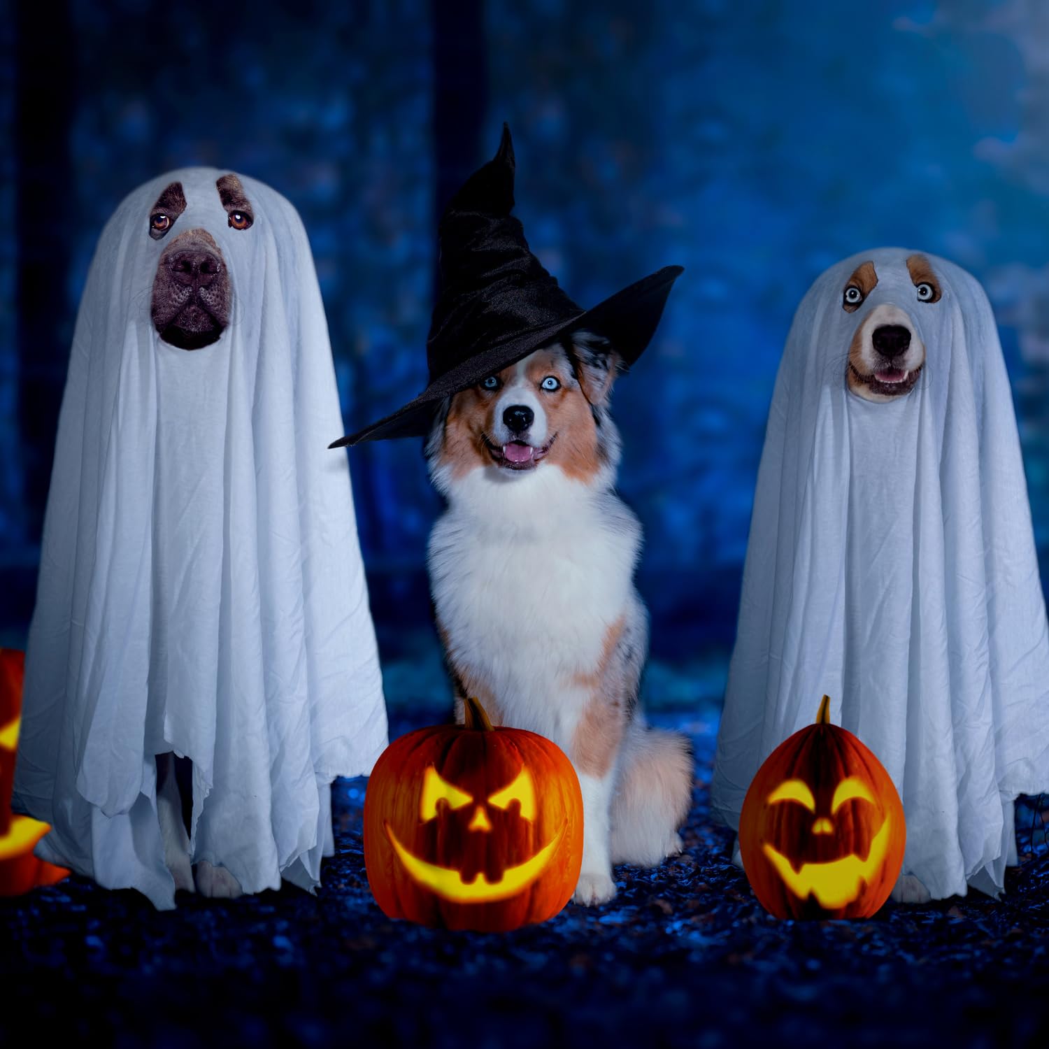Halloween Ghost Dog Costume - White Pet Ghost Costume for Dogs & Cats - 27.5 x 39.3 inches (70x100cm) - Perfect for Trick or Treat, Halloween Parties & Pet Cosplay Fun
