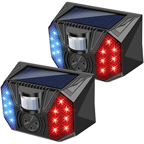 2 Pack