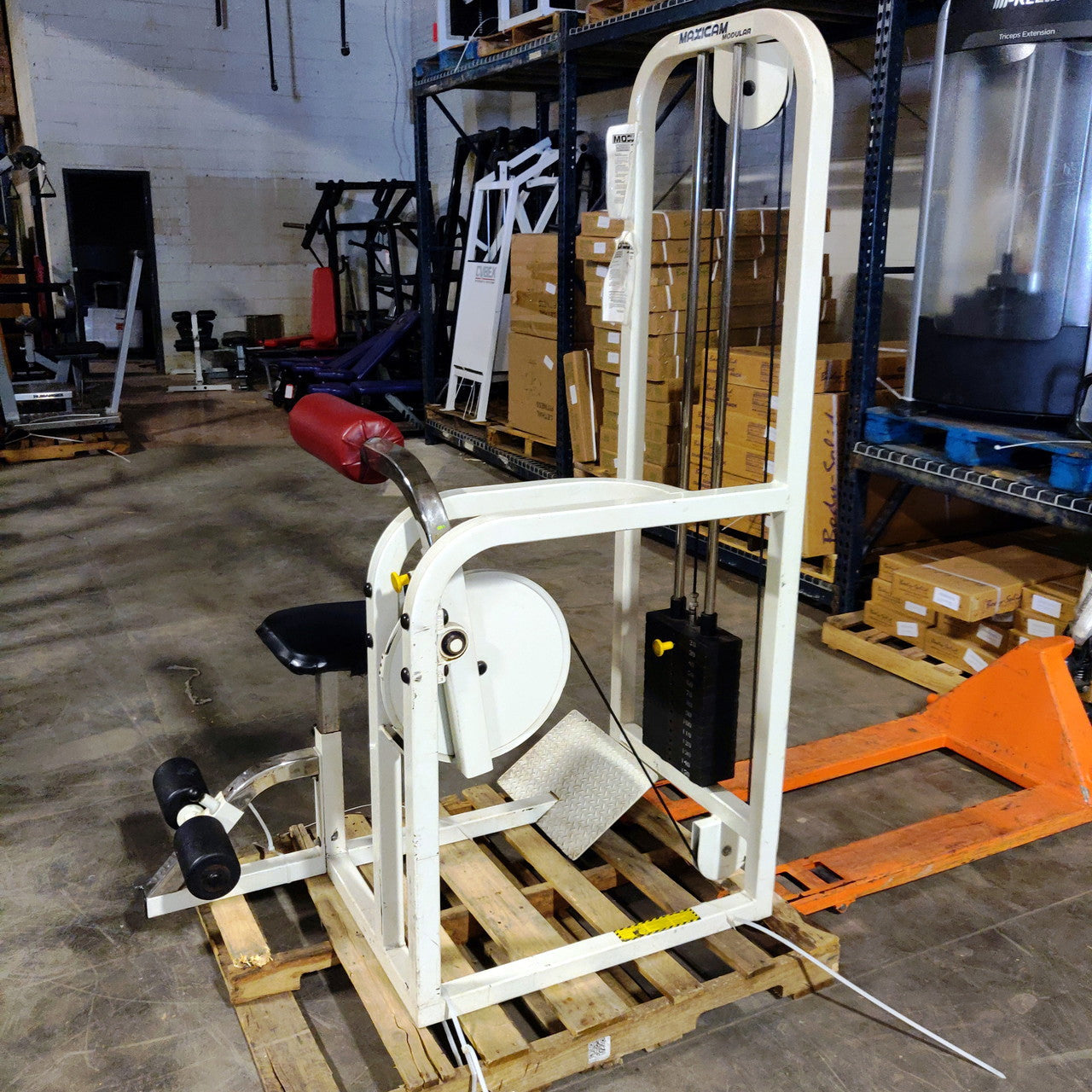 Maxicam Ab/Back Combo Machine - Home Gym Equipment for Core & Back Strength Training | Perfect for Home Workouts & Fitness Enthusiasts