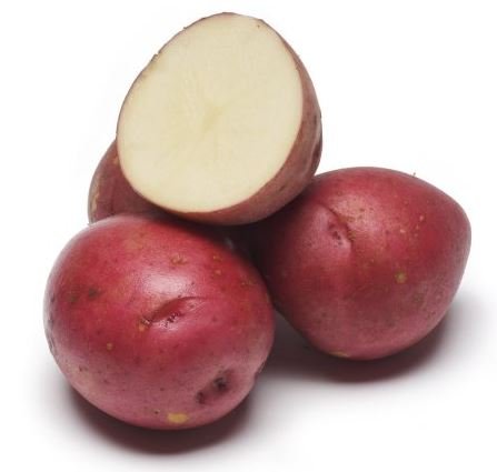 Organic Red Norland Seed Potatoes - 5 Lbs Non-GMO Fresh Garden Planting - 2024 New Crop - Perfect for Home Gardening, Farmers Markets & Sustainable Farming