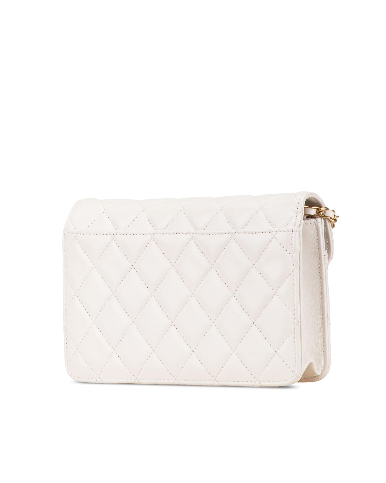 Luxury Calfskin Quilted Chain Wallet with Zip Closure & Card Slots - Perfect for Women's Everyday Use & Special Occasions