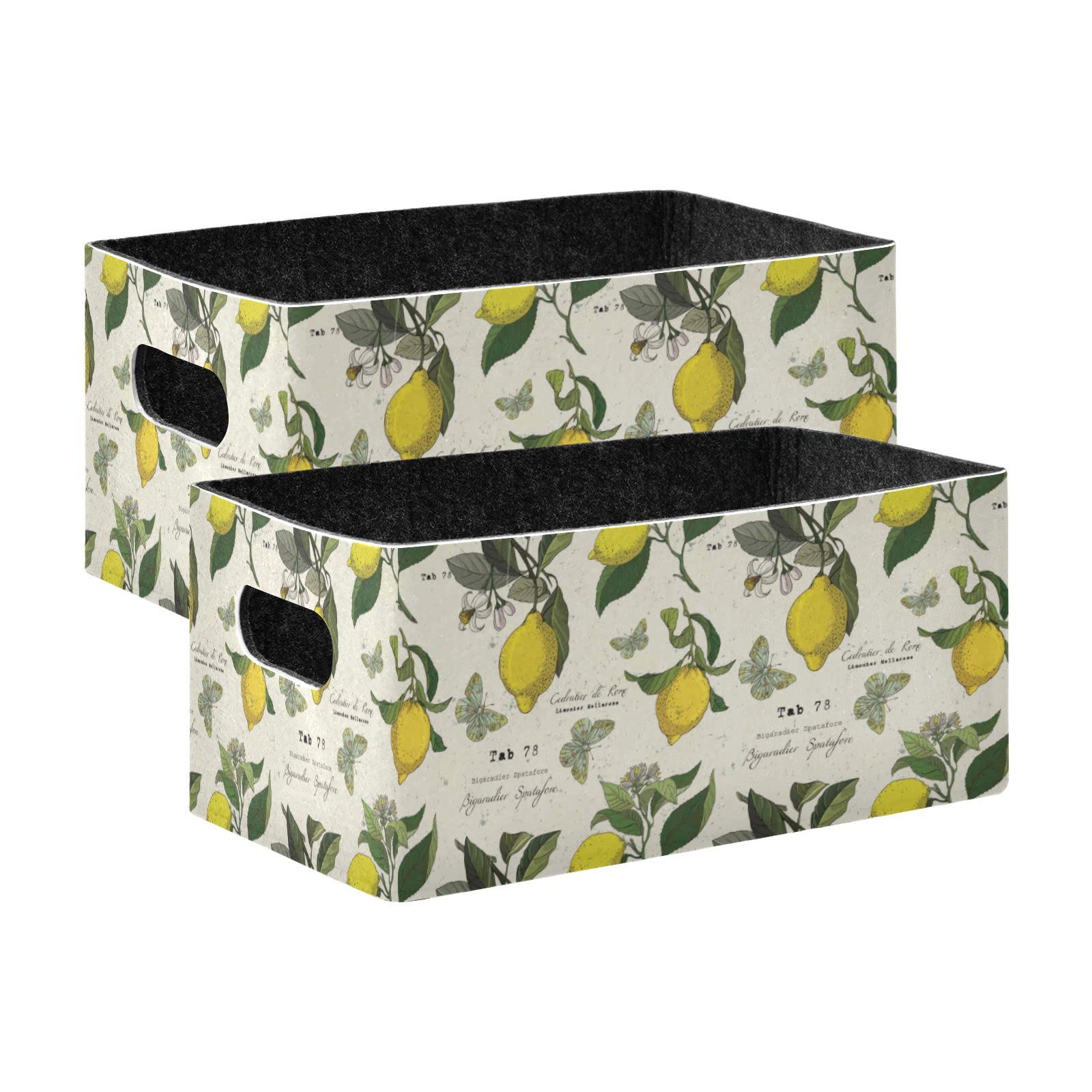 SHJI 2-Pack Lemon Branch Folding Felt Storage Baskets - Collapsible Clothes Hamper & Organizer for Shelves, Closet, Nursery | Space-Saving Home Storage Solution for Toys, Laundry & Wardrobe Organization