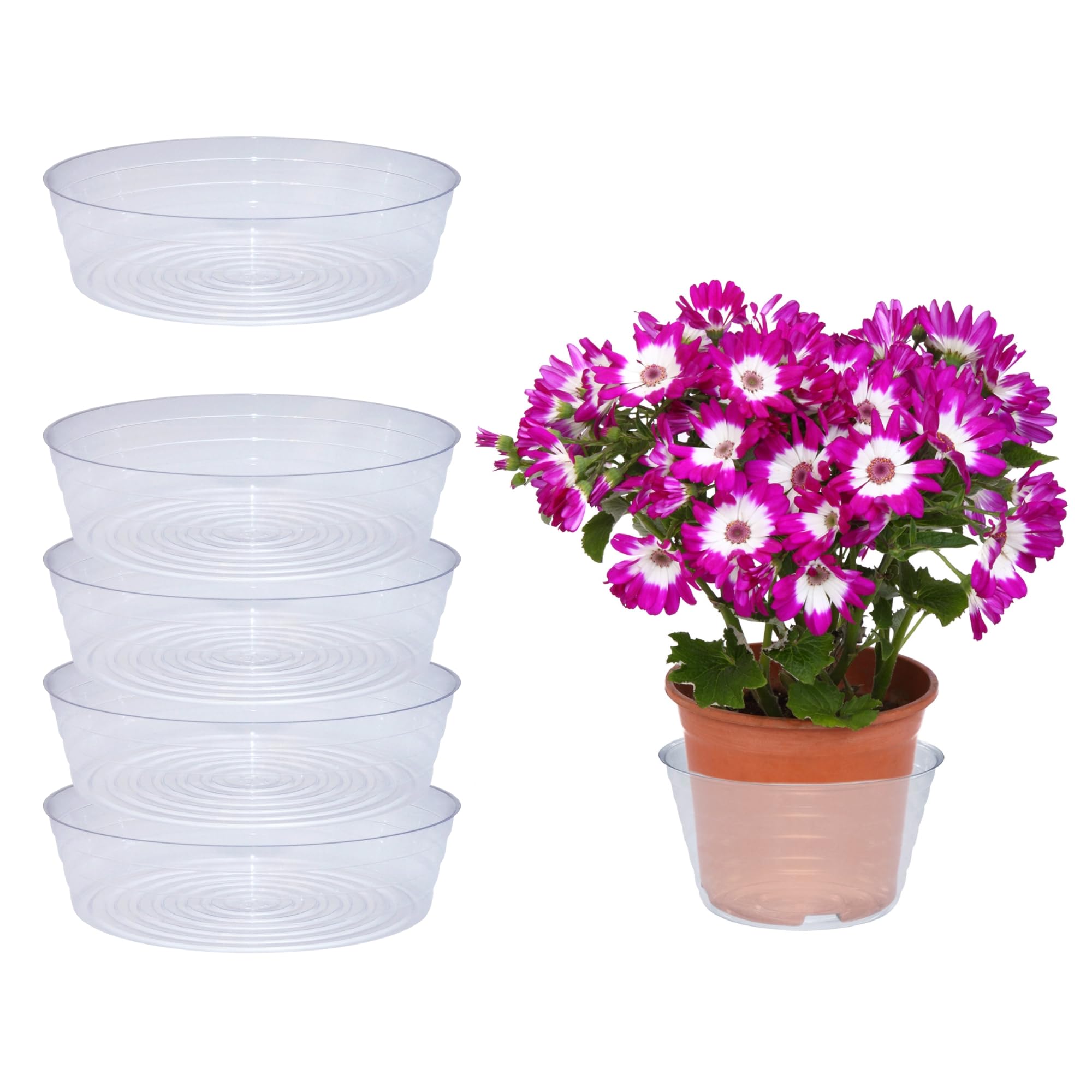 Curtis Wagner Plastic Plant Tray Basket Liners (5-Pack) - Clear Deep 12.25