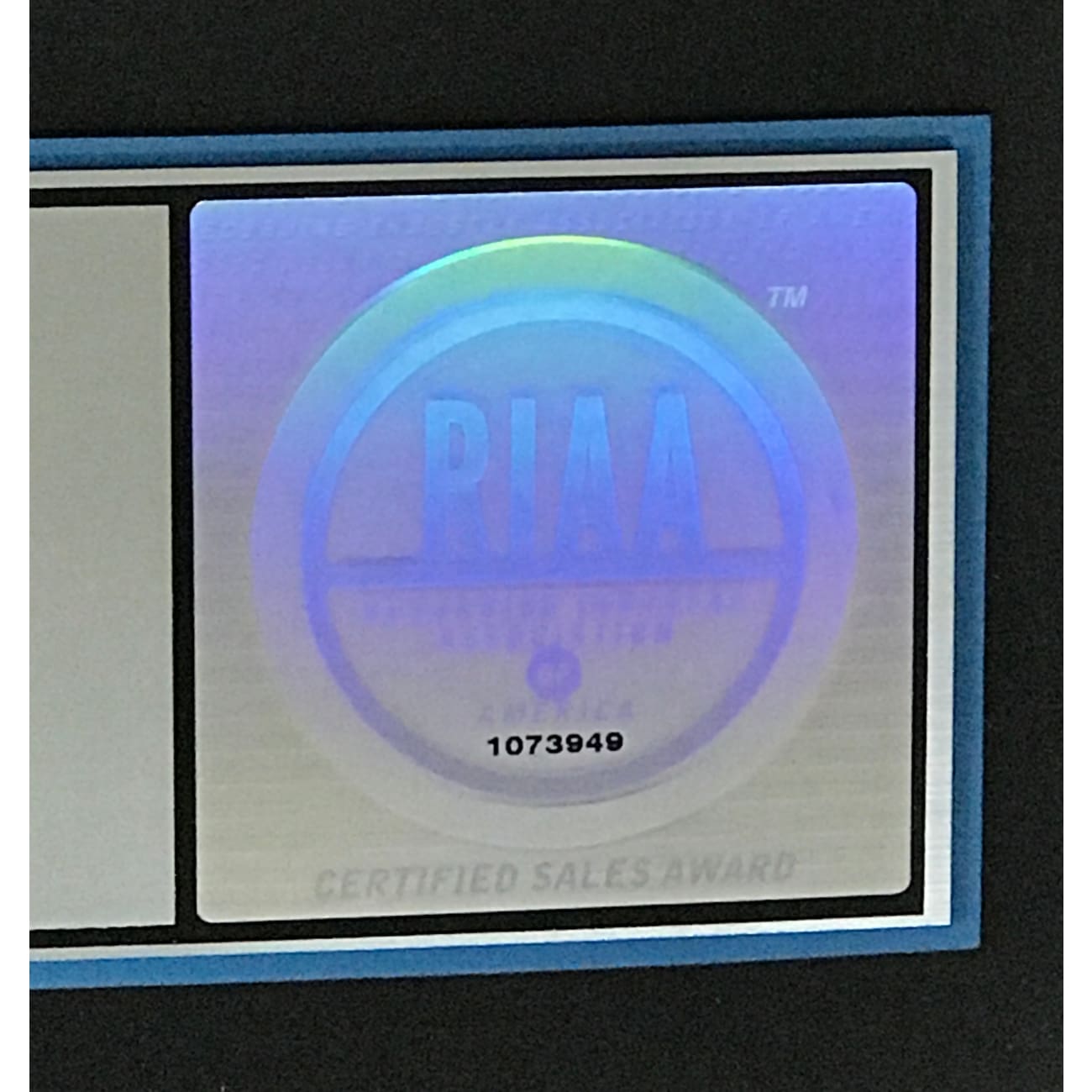Hole Celebrity Skin RIAA Platinum Album Award - Official Music Record & Collectible for Fans, Home Decor, and Music Memorabilia Displays