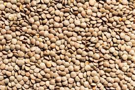 Premium USA Grown Dried Lentils - 20 LBS Bulk Wholesale Supply | High-Quality Pantry Staples for Home Cooking, Restaurants & Hotels | Perfect for Soups, Stews & Healthy Meals
