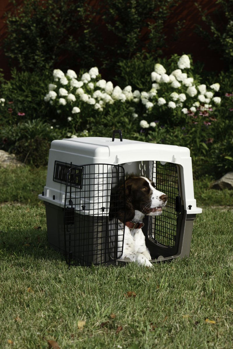 Pet Lodge® Two Door Dog Crate - Airline Approved Travel Kennel with Side Entry | Easy to Clean Medium Dog Cage for Pets Up to 50 lbs | Perfect for Home, Travel & Vet Visits
