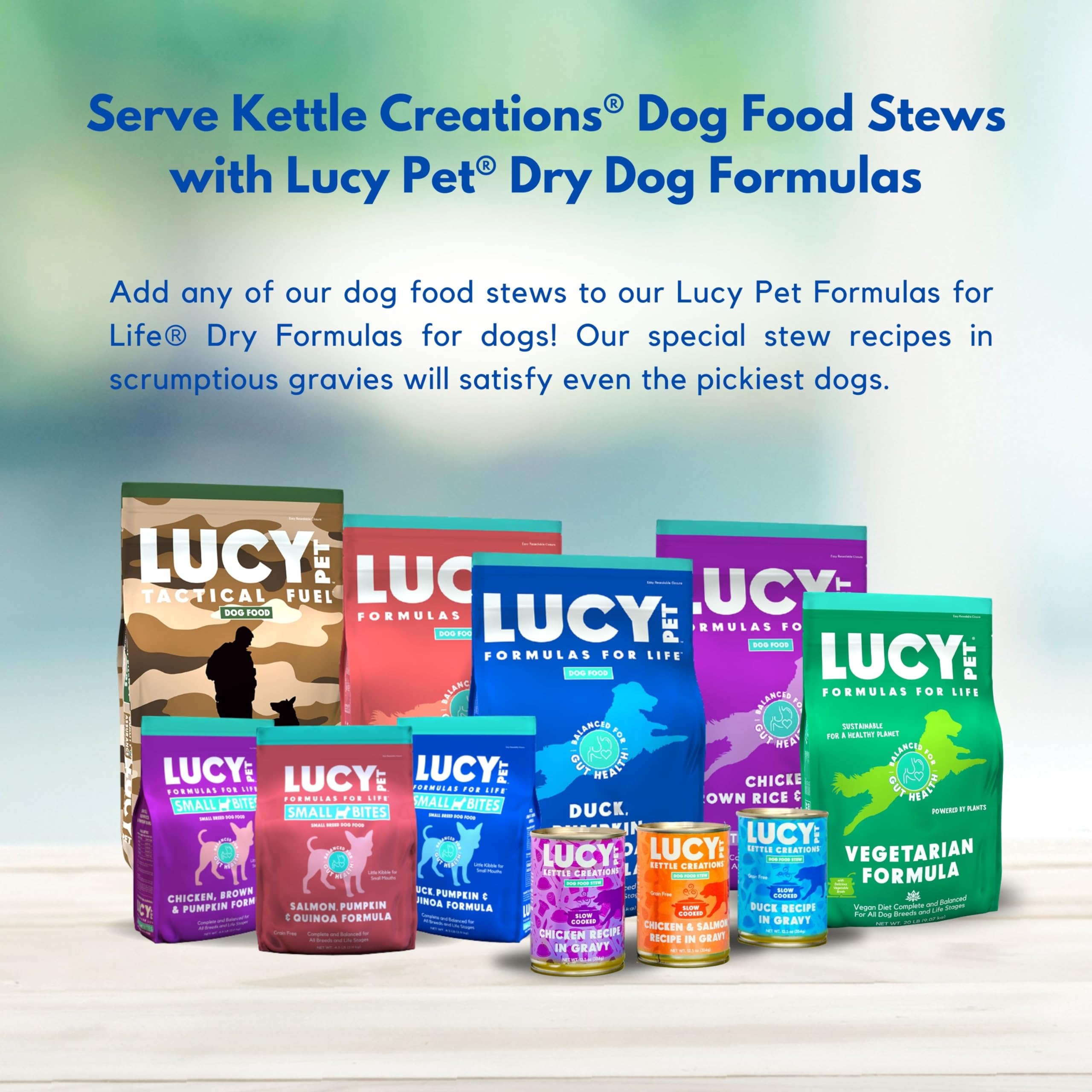 Lucy Pet Products Kettle Creations Chicken Dog Stew in Gravy - 12.5oz (Case of 12) | High-Protein Wet Dog Food for Adult Dogs | Perfect for Mealtime, Training Treats & Senior Dogs with Sensitive Stomachs
