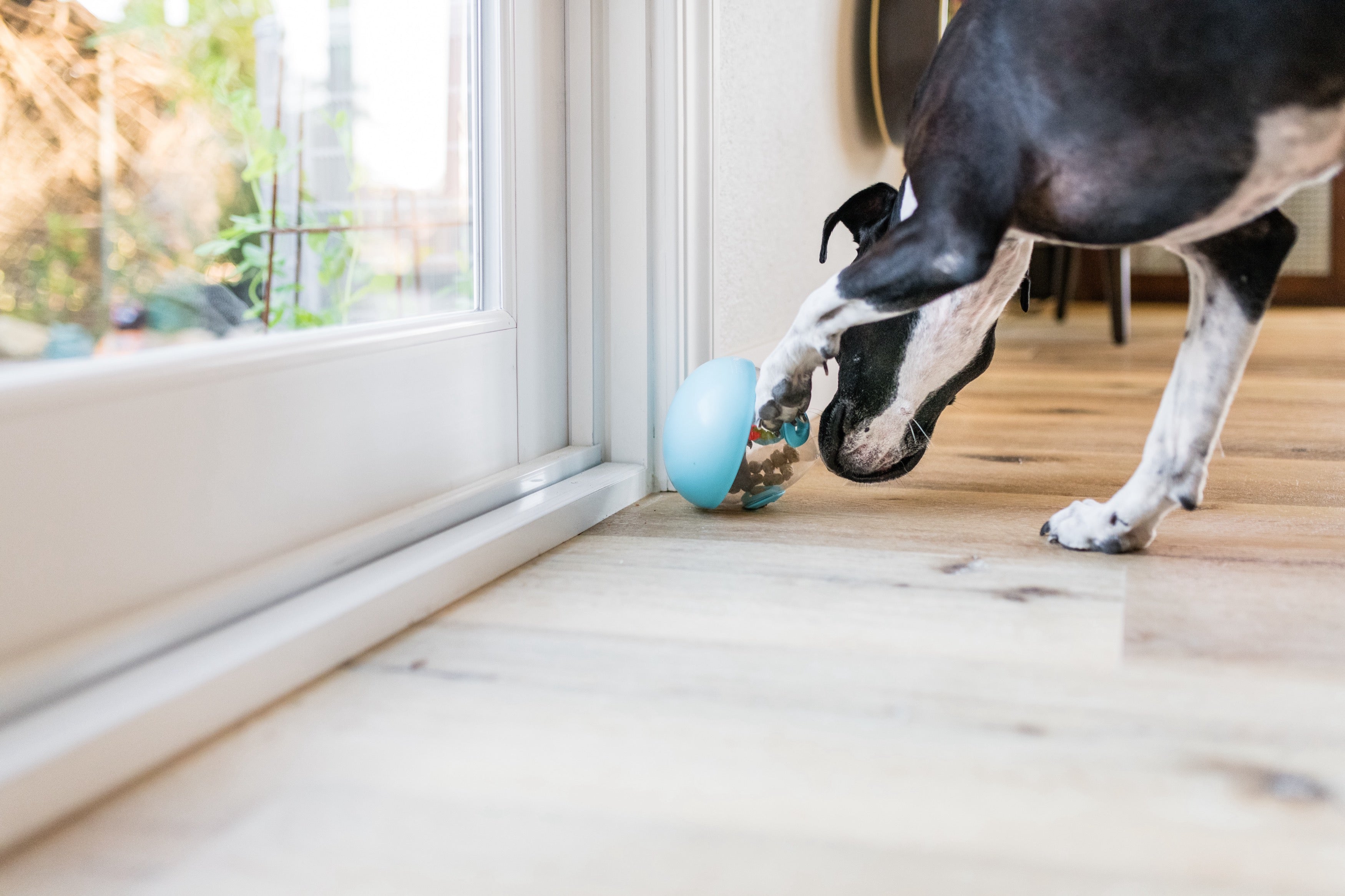 Wobble Ball Interactive Dog Treat Dispenser Toy - Blue | Pet P.L.A.Y. - Fun Puzzle Feeder for Small & Medium Dogs, Perfect for Mealtime Enrichment & Mental Stimulation