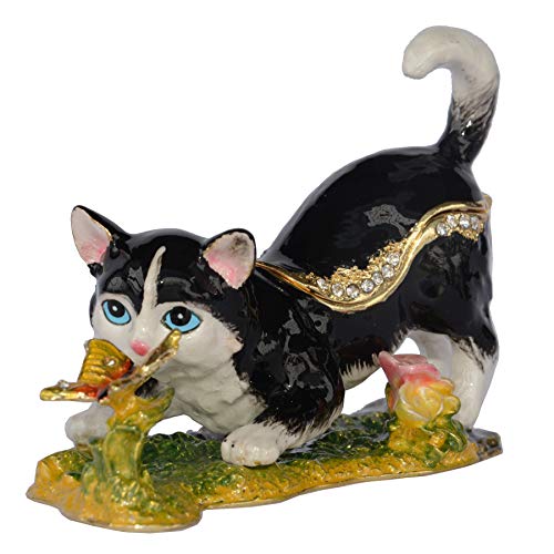 Black cat