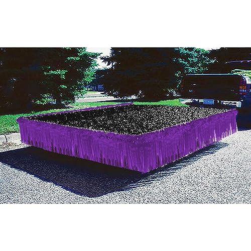 Black and Purple