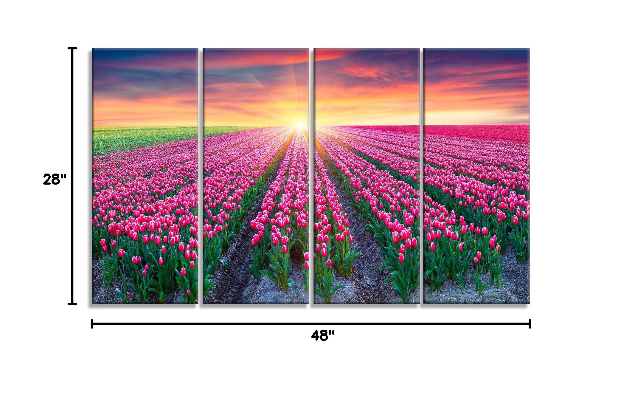 Designart Blooming Tulips at Sunrise - Metal Wall Art Decor - 4 Panels (48x28 Inches) - Perfect for Living Room, Bedroom & Office