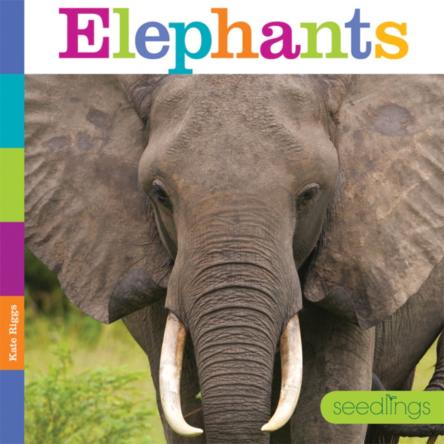 Elephants: A Fascinating Wildlife Book - ISBN 9781608182756 | Perfect for Nature Lovers & Animal Enthusiasts
