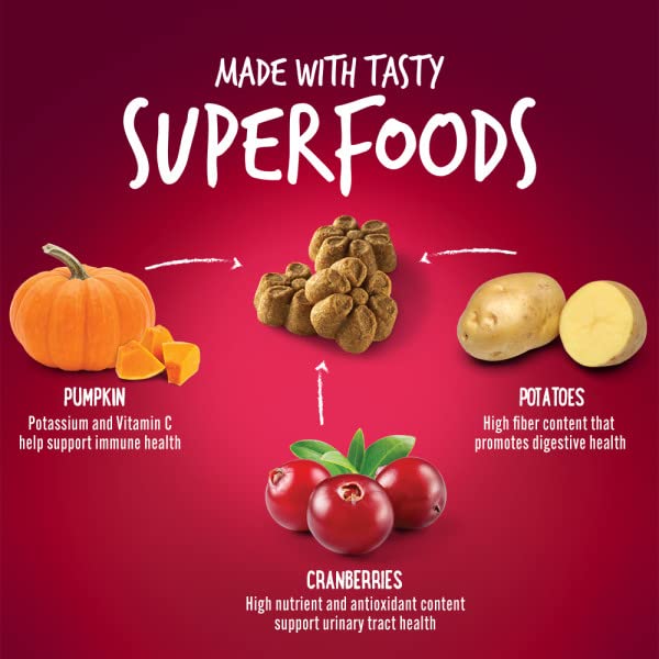 Fruitables Baked Pumpkin & Cranberry Dog Treats - Healthy Low Calorie, Grain-Free Dog Snacks with No Wheat, Corn or Soy - 198g for Training & Digestive Health