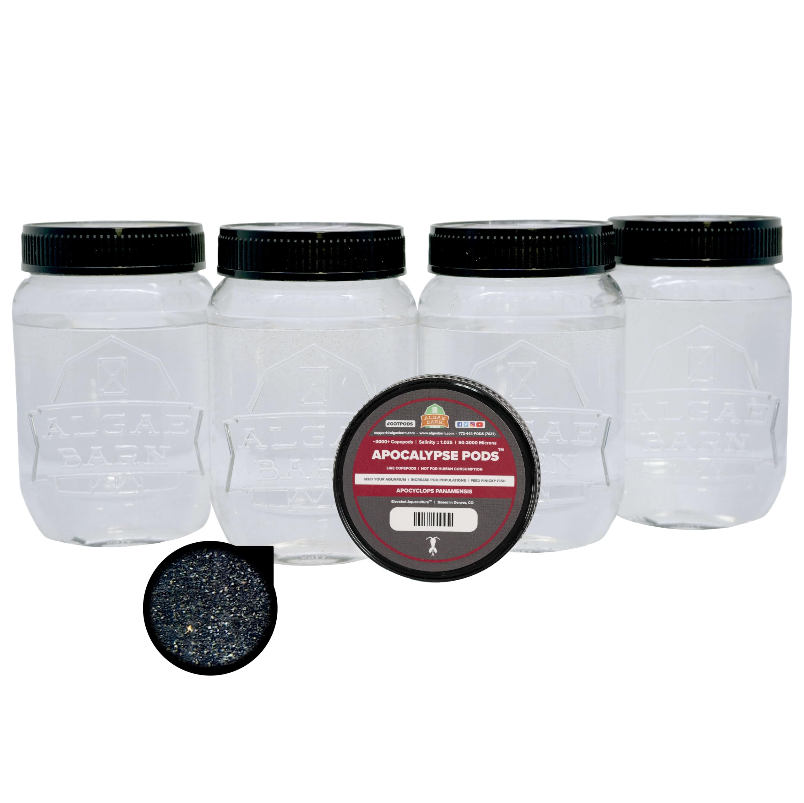 Live Copepods for Saltwater Aquariums - Apocyclops Panamensis (12,000+ Pods) - Natural Tank Cleaners & Premium Food for Mandarin Fish & Finicky Eaters - Reef Tank & Marine Aquarium Maintenance