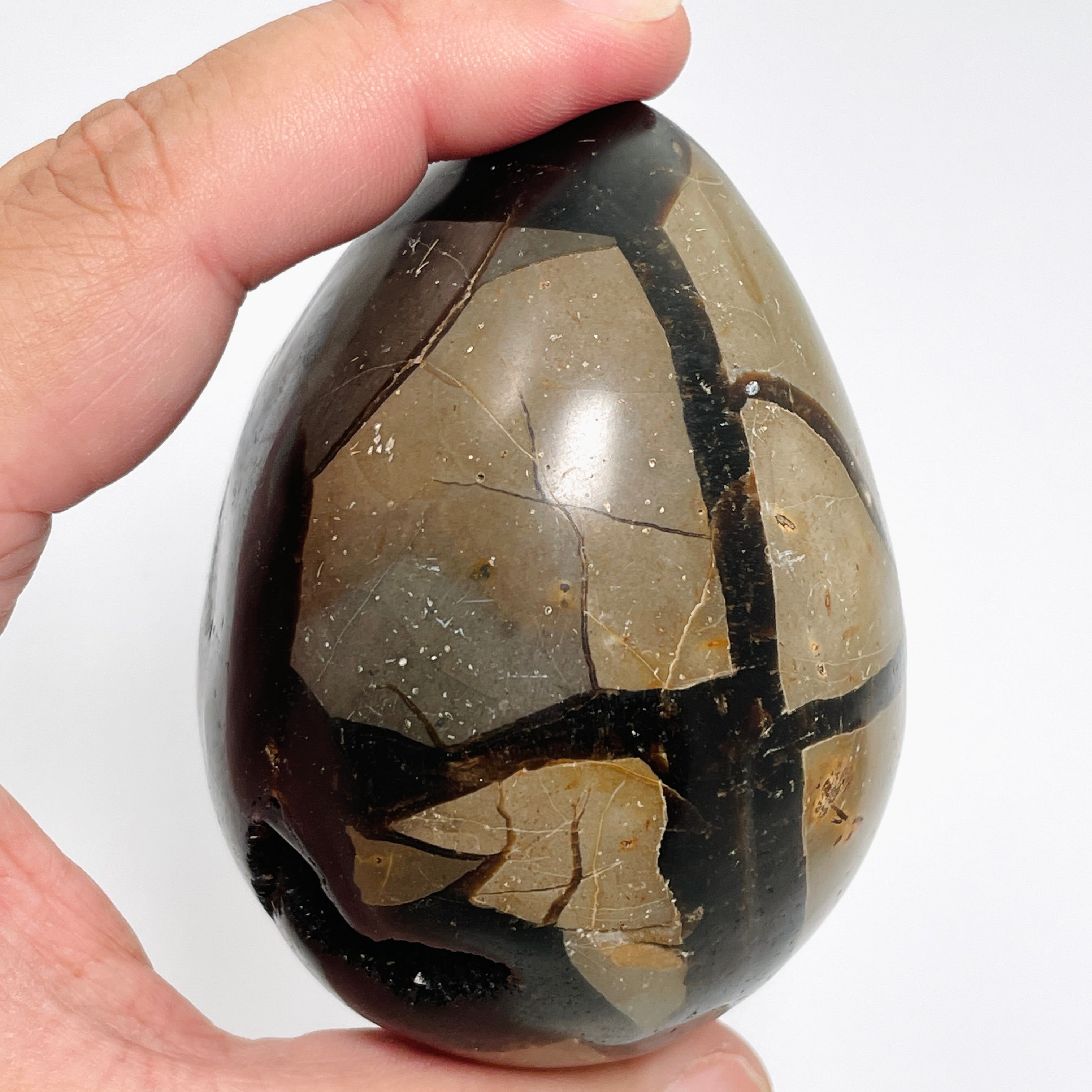 Natural Septarian Egg Stone - Unique Healing Crystal for Meditation, Home Decor & Spiritual Gifts | Perfect for Yoga Spaces, Office Desks & Crystal Collections