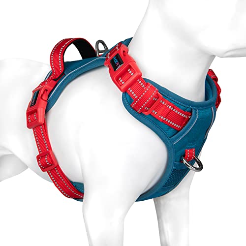 Teal Base & Red Straps