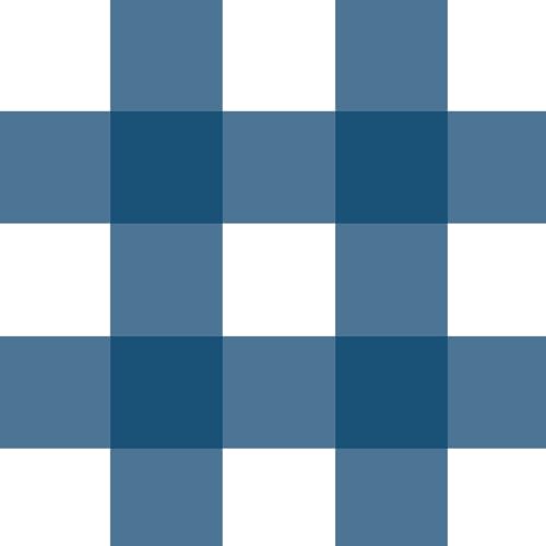 Blue Gingham Checkered