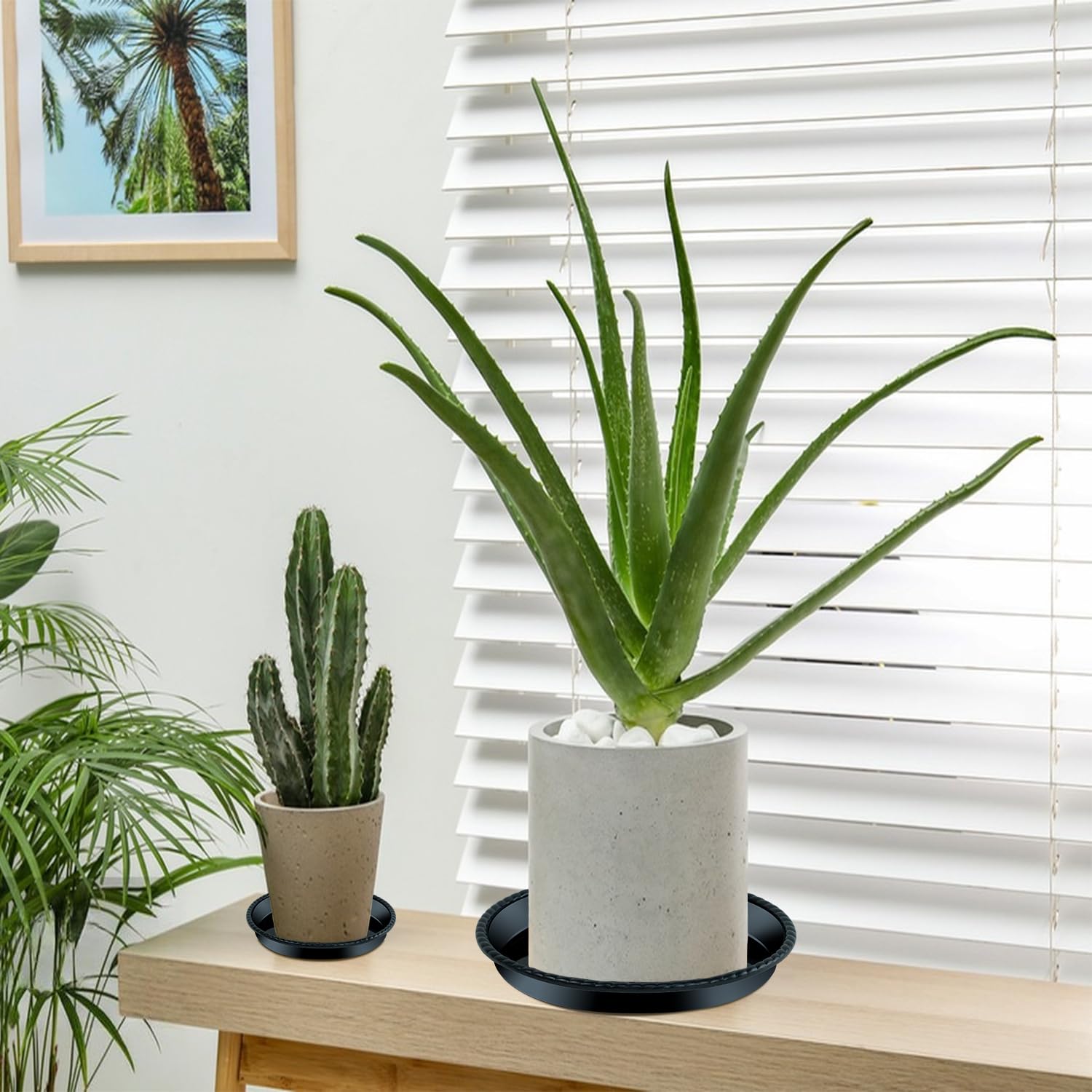 9 Packs Black Plastic Plant Saucers (8/10/12 inch) - Thick & Sturdy Plant Pot Trays for Indoor/Outdoor Use - Perfect for Garden, Balcony, and Patio Plant Drainage
