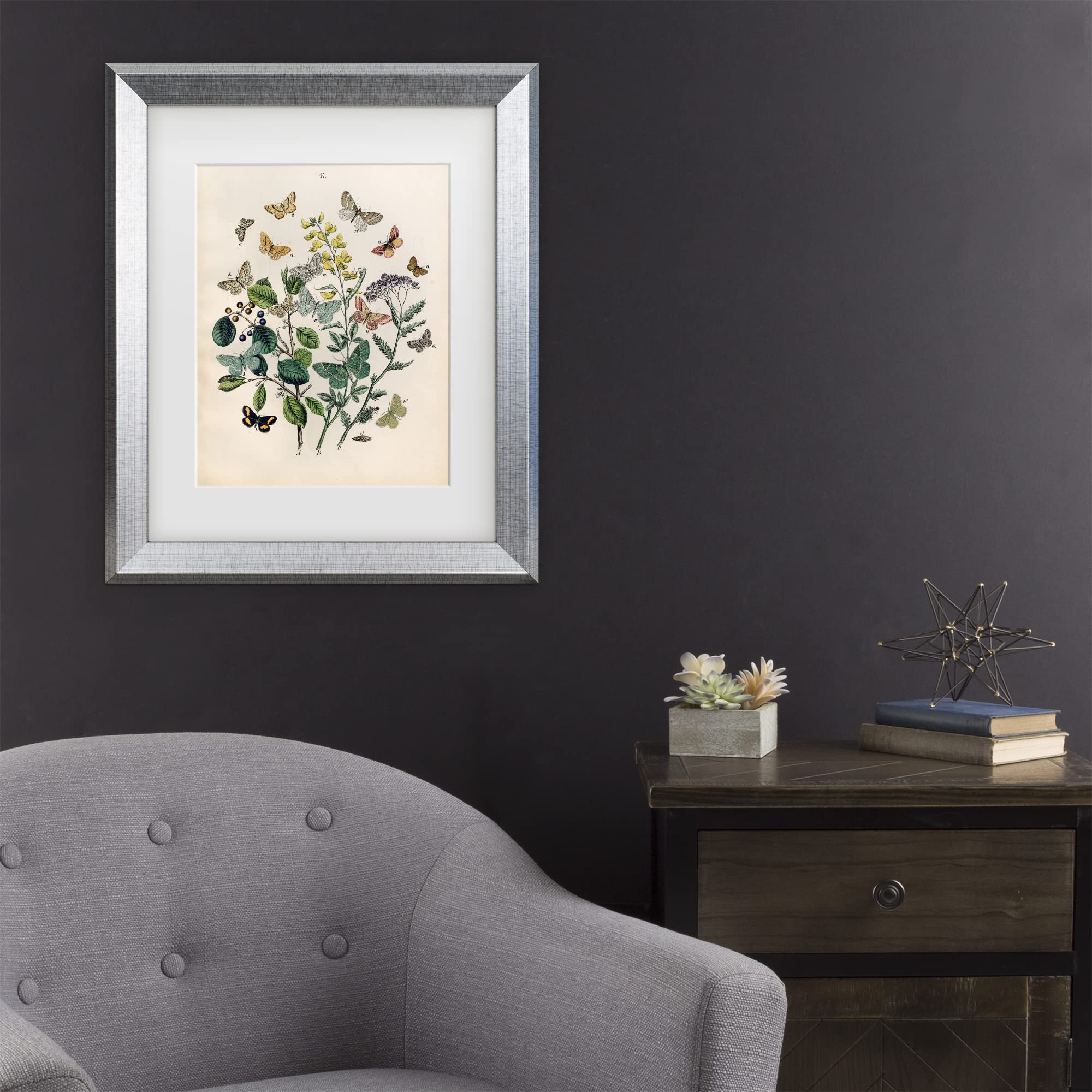 Trademark Fine Art 'Papillion Butterflies' Canvas Wall Art Print - Vibrant Butterfly Painting for Home Decor, Living Room & Bedroom Aesthetics