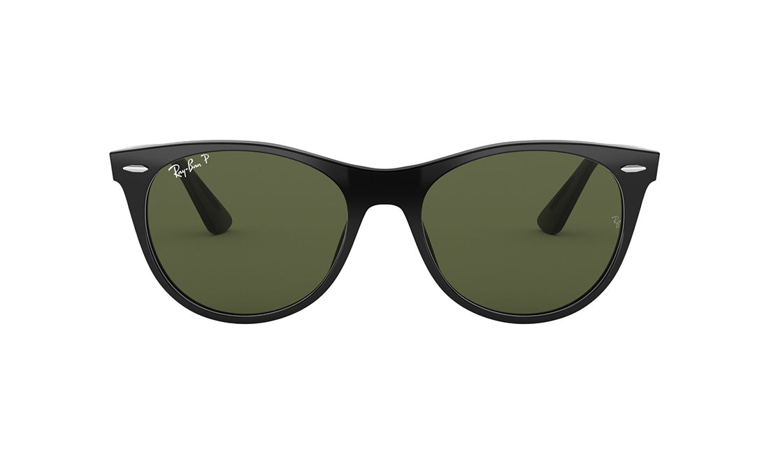 Black (Polarized)