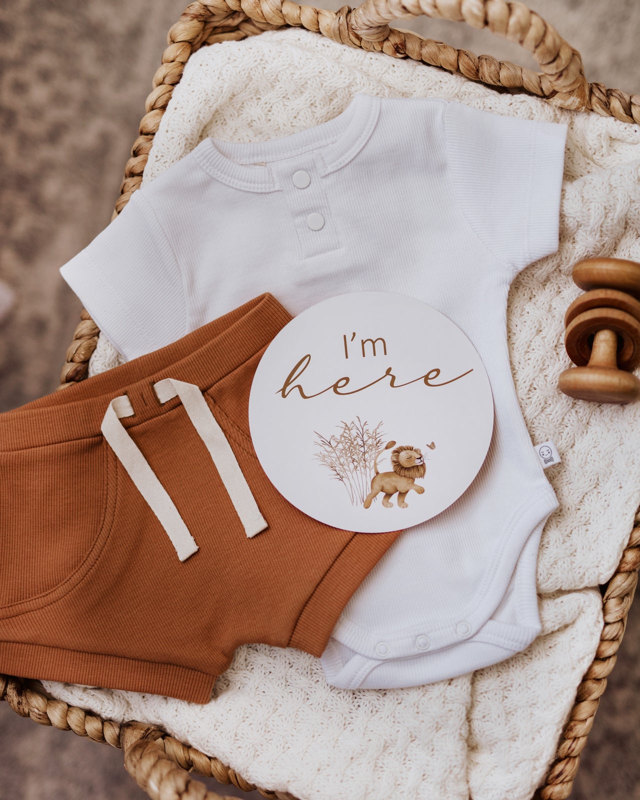 Snuggle Hunny Reversible Milestone Baby Photo Cards - Lion & Sunrise Gold Design for Newborn Photography, Baby Shower Gifts and First Year Memory Keepsakes