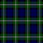 Forbes Modern Tartan Plaid Blanket - Soft & Cozy Throw for Sofa, Bed, and Outdoor Use - New Arrival