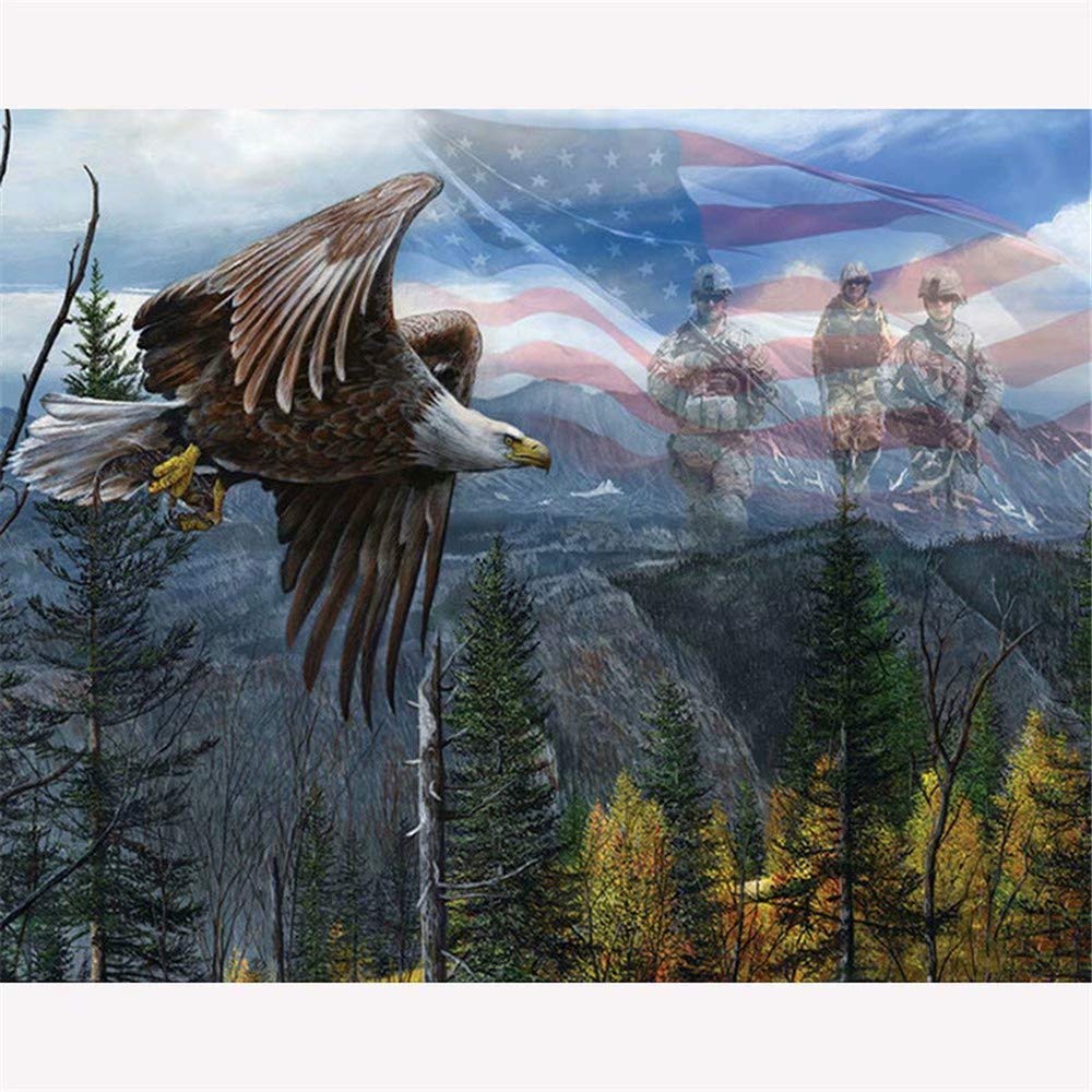 American Flag Eagle Paint by Numbers Kit with Wood Frame, Brushes & Acrylic Paints - DIY Art for Home Decor, Gifts & Relaxation
