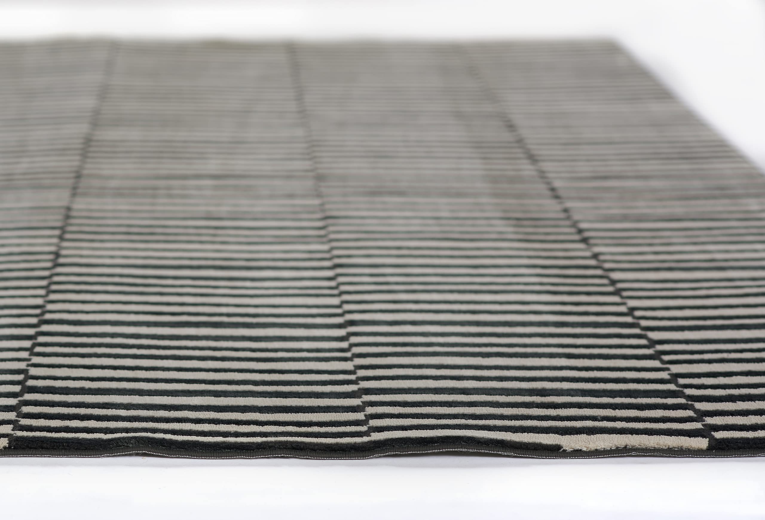Momeni Xander Black Polyester Blend Area Rug 5'3